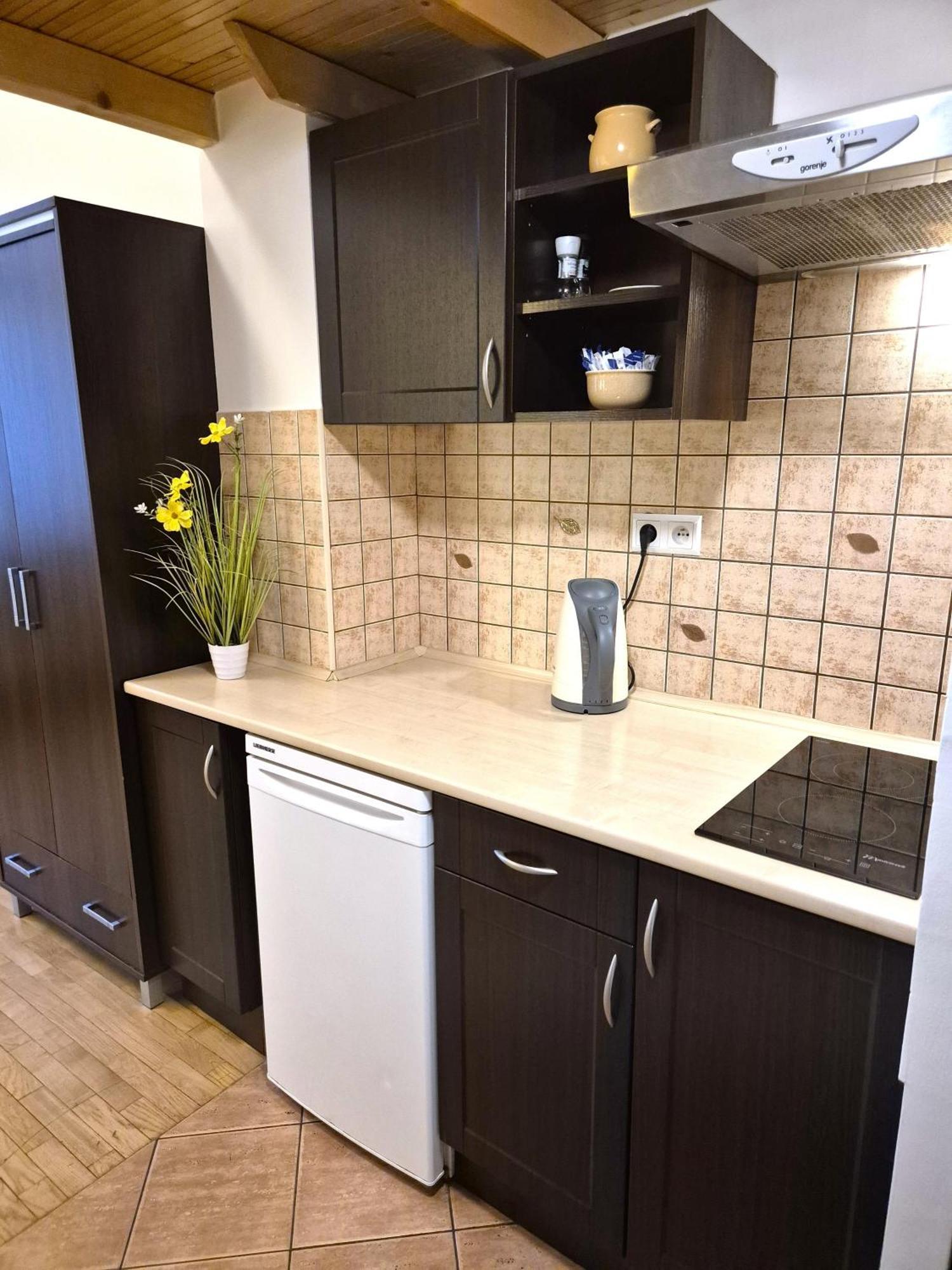 Safona - Pantheon Apartments Краків Екстер'єр фото