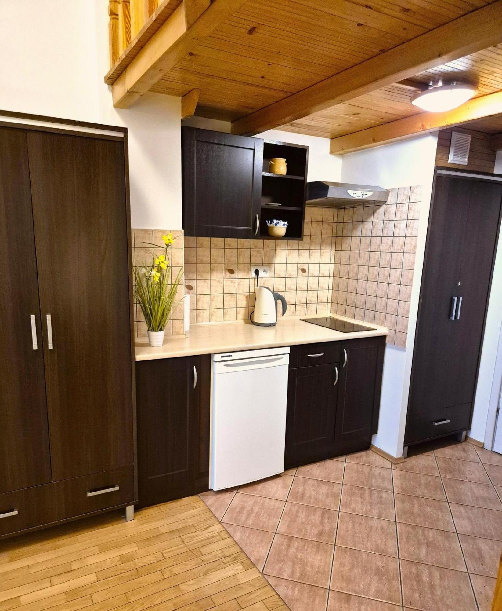 Safona - Pantheon Apartments Краків Екстер'єр фото